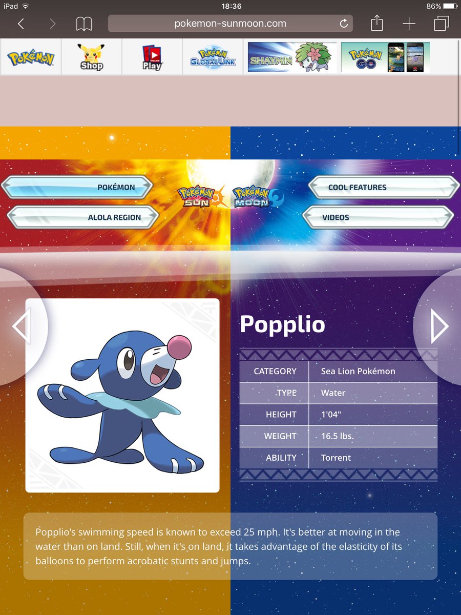 t_m_g_c's tweet image. 