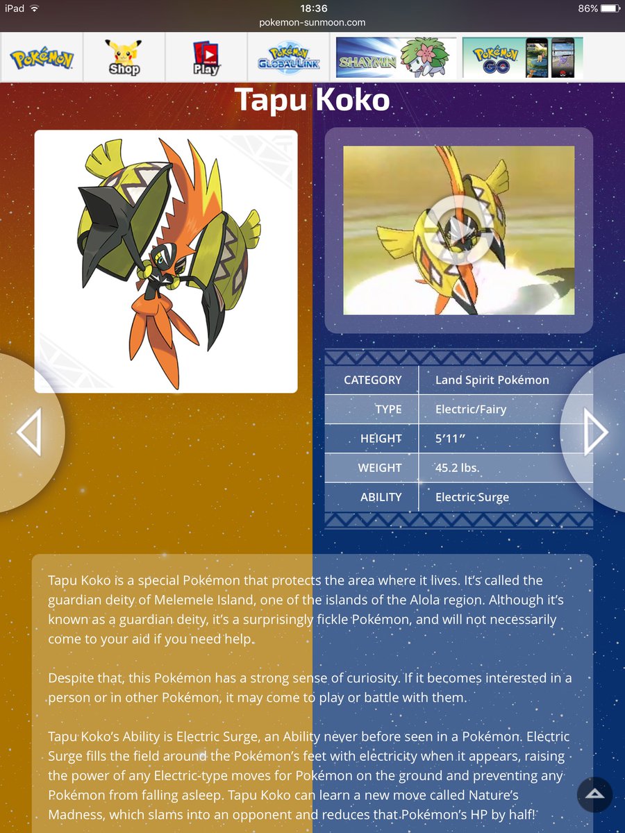 t_m_g_c's tweet image. 