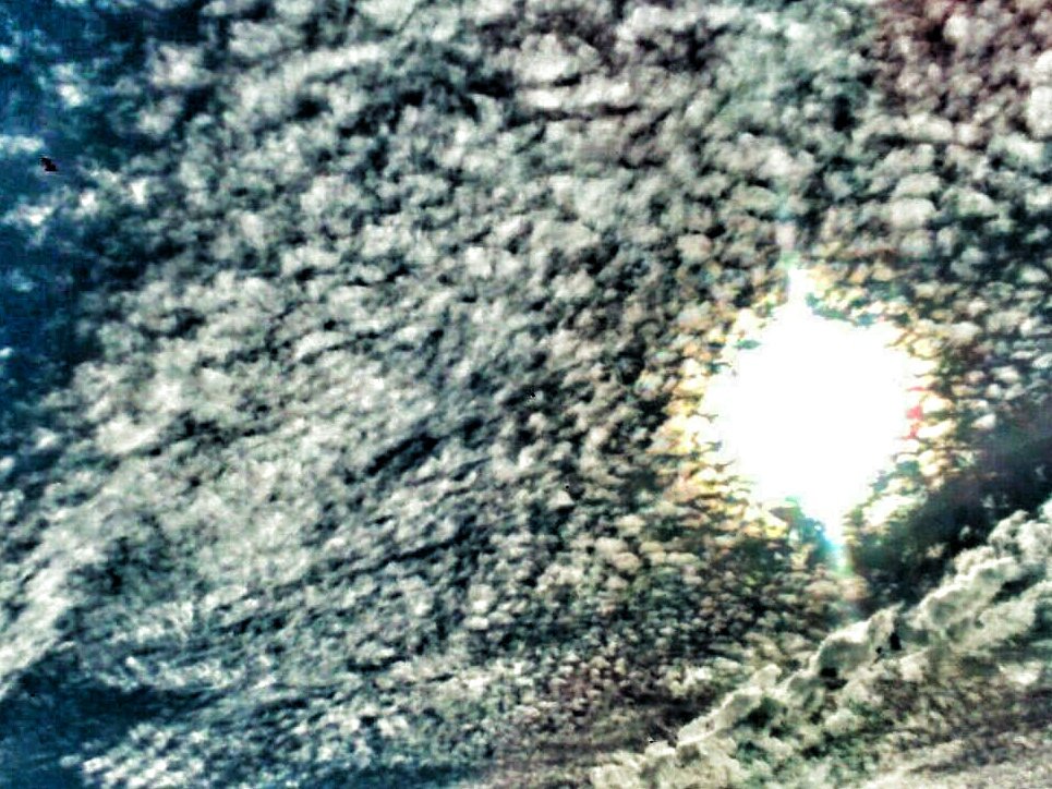 juzbadoayto's tweet photo. El cielo con azucarillos de nube (via carmen) #Juzbado https://t.co/JnRfaAkTja