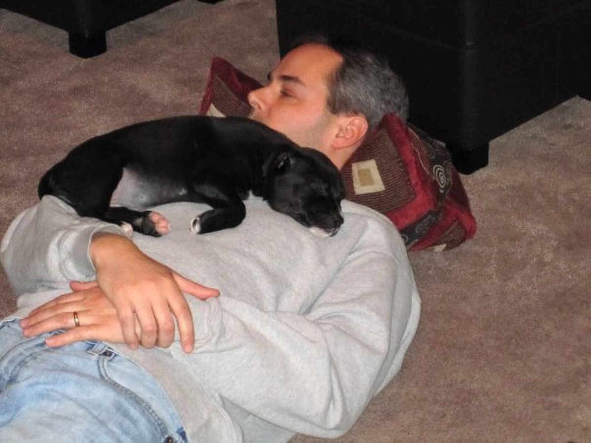 maggiemay1024's tweet photo. Me as a pup. #TBT https://t.co/9CDTuLOmAC