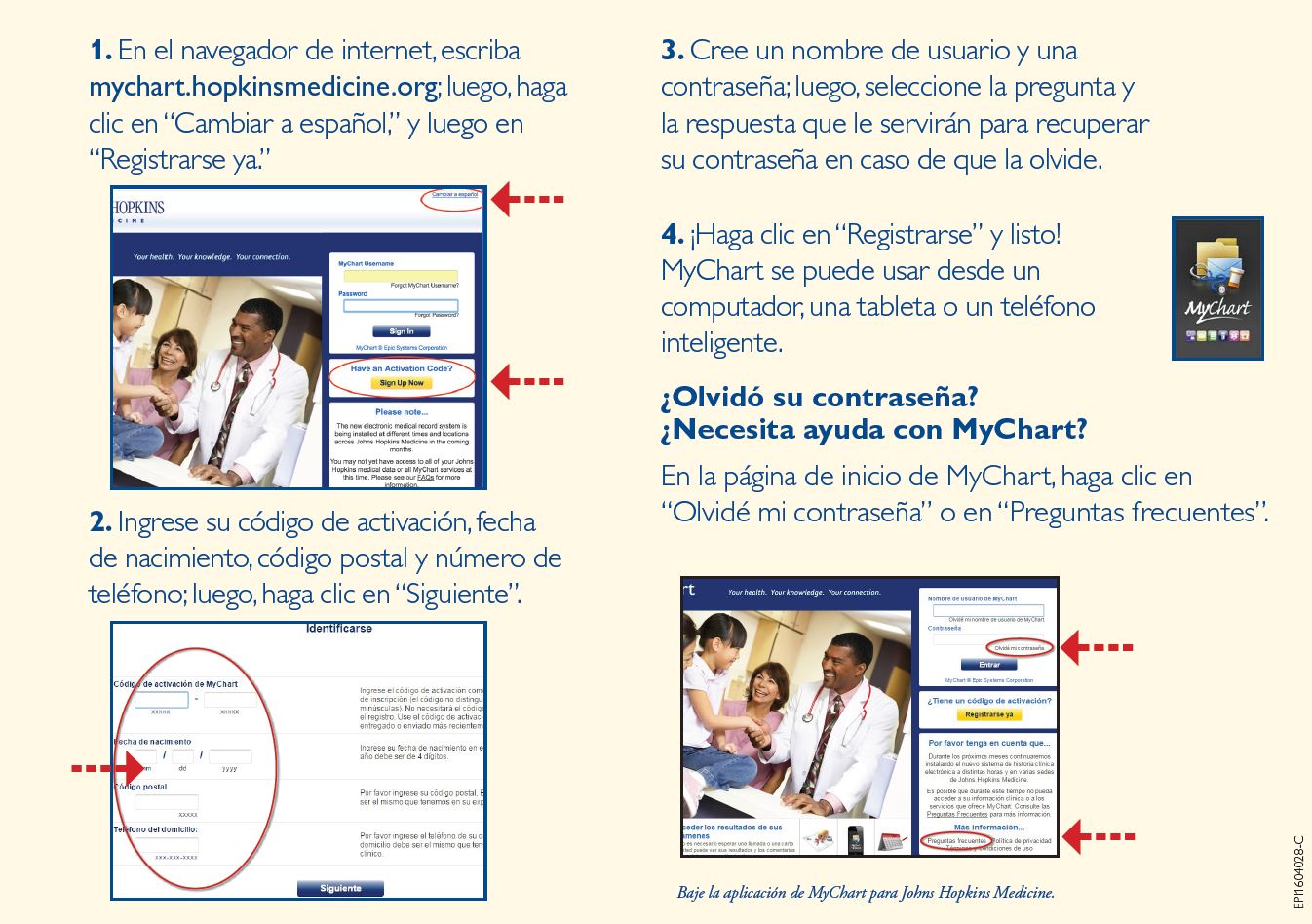 Johns Hopkins Medicine Org Chart