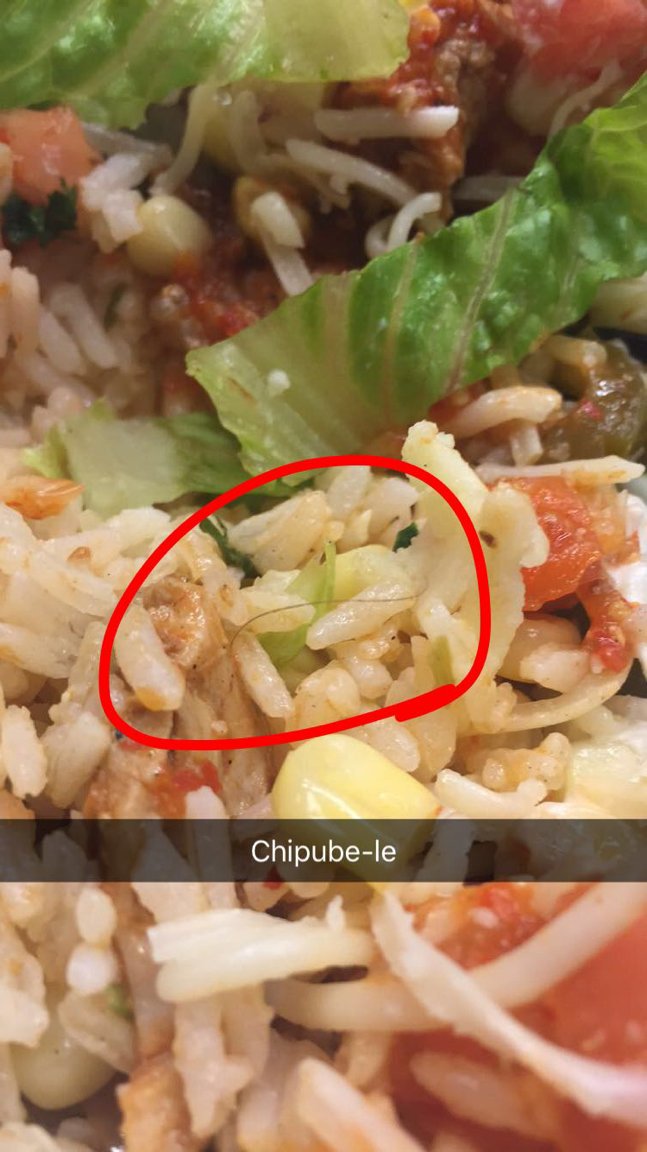 Found a short, coarse hair in my bowl today.. still ate it though <a href="/ChipotleTweets/">Chipotle</a> <a href="/US_FDA/">U.S. FDA</a>