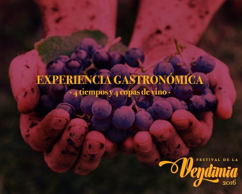 Te esperamos sábado 13 de Agosto a celebrar la Fiesta de la Vendimia 2016 Vinos del Marqués.