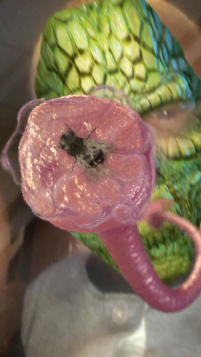 plexus1510's tweet image. Grandson #makingGoodBOLDER #AMTC16