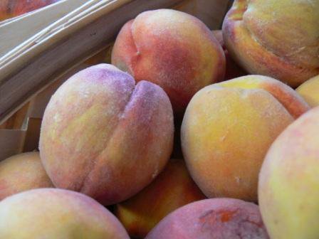 CurriesMarket's tweet photo. #FreestonePeaches - fruit separates easily from the pit or stone – from SC are in season now. https://t.co/ZHA01CCBJ5