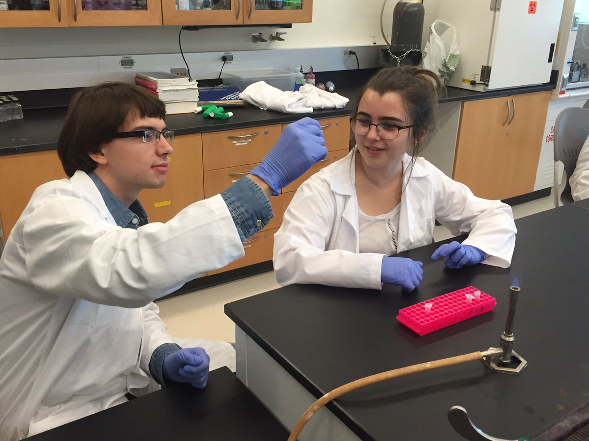 USF STEM tweet media