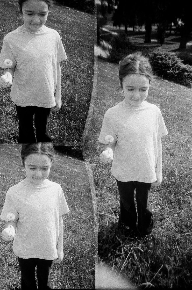 lizziejoysart's tweet photo. #disderi #toycameras #dandelion #photography https://t.co/wJVrQYpWa0
