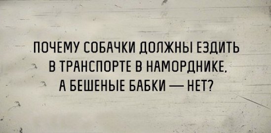 Оля (@_tybloko_) on Twitter photo 