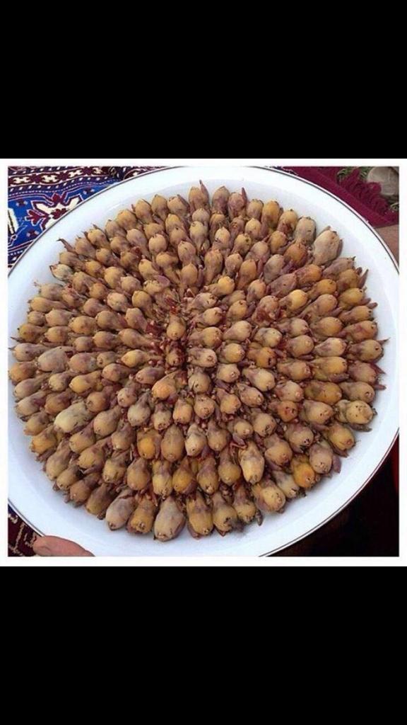 s_sss20's tweet photo. مساكم الله بالخير 
قريبا بالمزارع 
بقلاوه طبيعيه 
100ب100 https://t.co/40k6RXqw5X