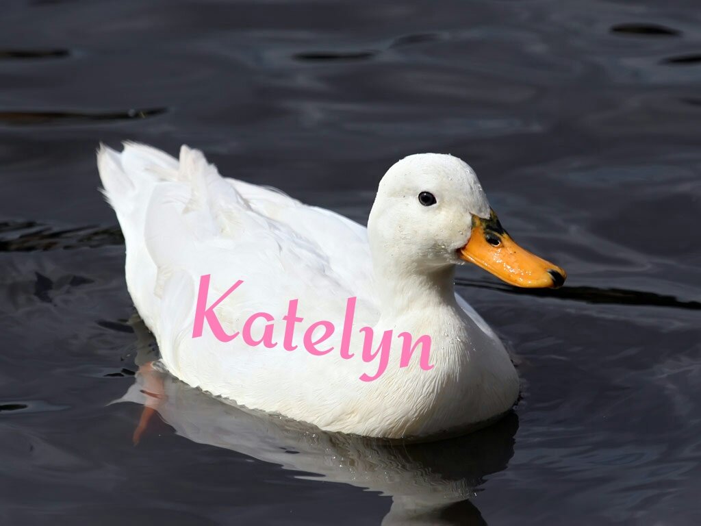 AFieryAnger's tweet image. 