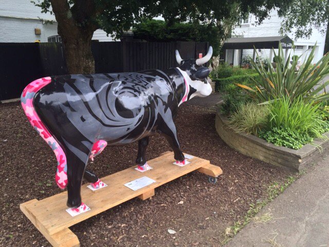 RT @ellie_m37: Spotted at the #BurfordBridge @MercureBoxHill #cowparadesurrey https://t.co/ofznj0rLzq