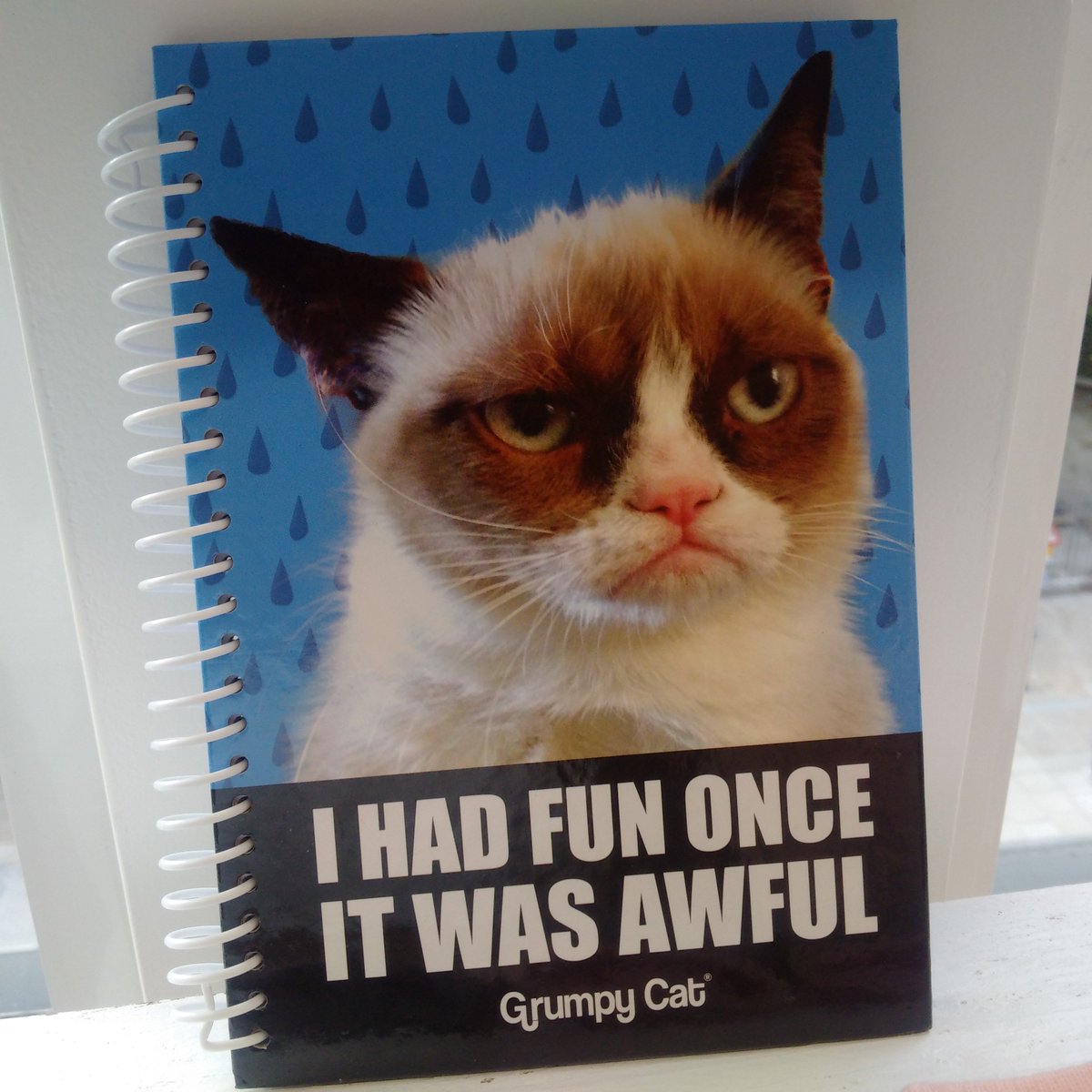 LifestyleSoul's tweet photo. Met @RealGrumpyCat today @Primark  :-D #PrimarkMeets https://t.co/gWYeibywPT