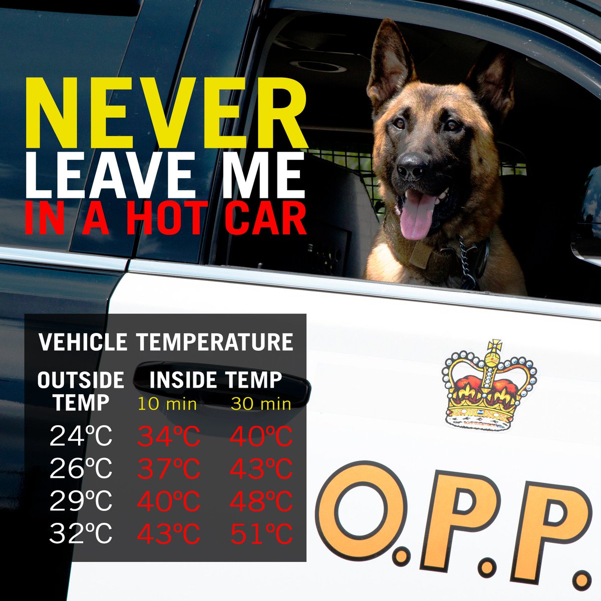 OPP_News's tweet photo. It's going to be a hot and humid end to the week - make sure never to leave your dog in a hot car! https://t.co/Lnbjpyp1QE