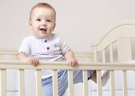 Προβολή εικόνας στο Twitter