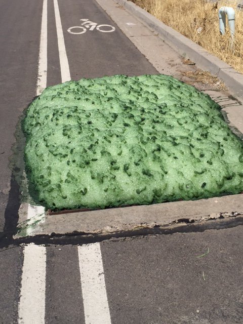 View image on Twitter