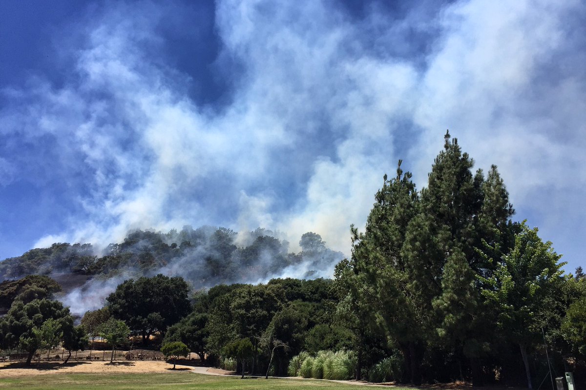 NVR_Photo's tweet photo. Napa firefighters battling blaze behind Laurel Park in Napa-more later @NapaRegister https://t.co/RUdGIok3gt