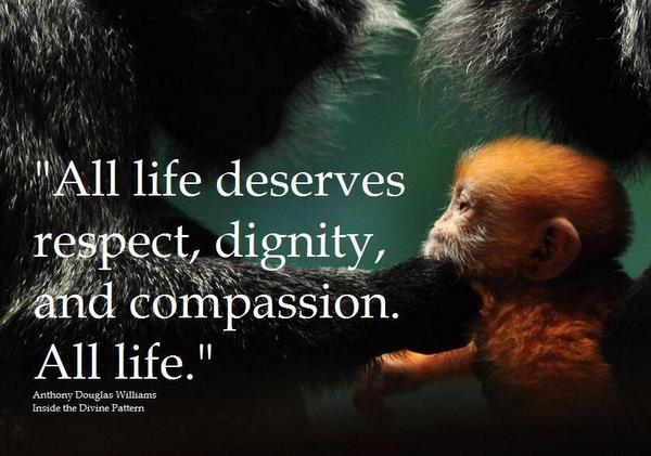 naturalbeings01's tweet photo. #WorldPrayers #Peace #Compassion 4 the #US #AllNations #animalsmatter #AllLivesMatter #WeAllmatter #Potus #RNCinCLE https://t.co/3Ud32BrGF2