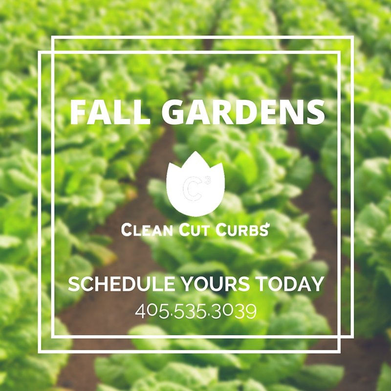 CleanCutCurbs's tweet image. It's not too late to plant a garden this year! C3 offers garden and raised bed installation. Call us today!
