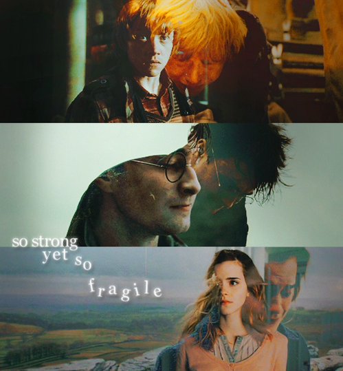 PotterWorldUK's tweet photo. Love this https://t.co/zvScBPmSN4