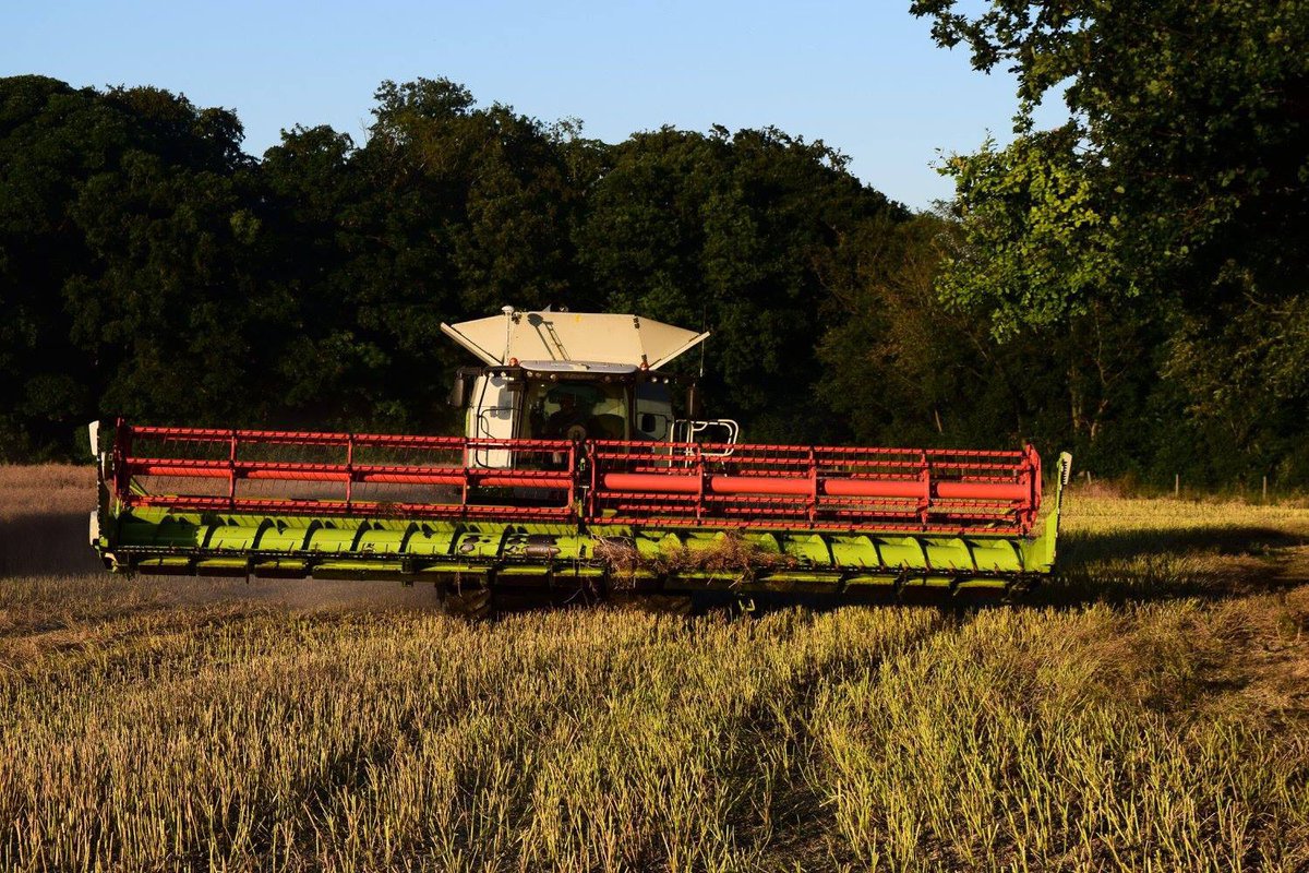 Harvest 2016 is in full swing
