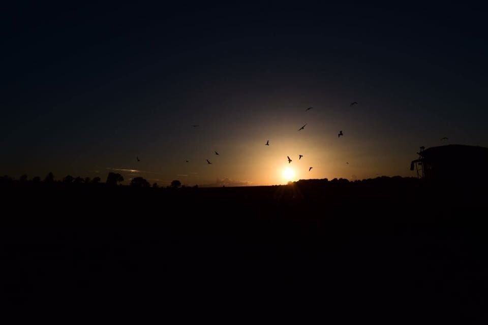 So happy with this photo 😊