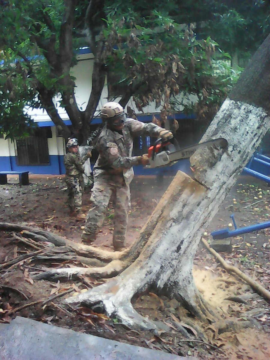 aeronavalpanama's tweet photo. Continúan trabajos de ayuda en cortes de árboles por fuertes vientos en Escuela del Japón/La Locería #SenanContigo https://t.co/AH19Crarcb