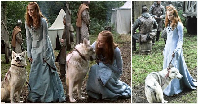 Sansa Stark and Lady #TBT 
#GameofThrones