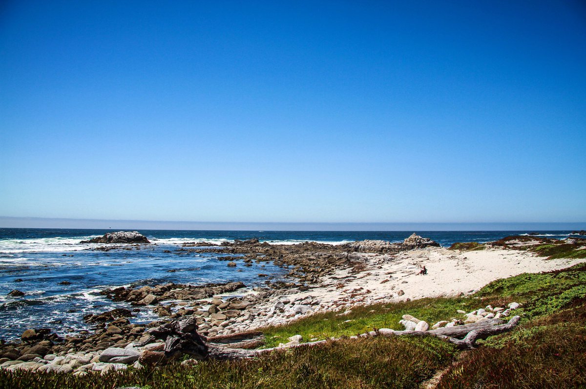 ID_Photography_'s tweet photo. California is always a good idea.
#Monterey #california #beach #paradise #thegoodlife #idstyle #canon7d #sun #tbt https://t.co/48OjaBQFhV