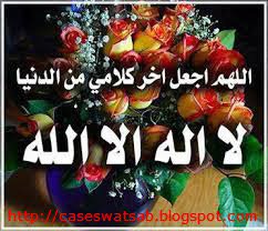 ayfa690 tweet picture