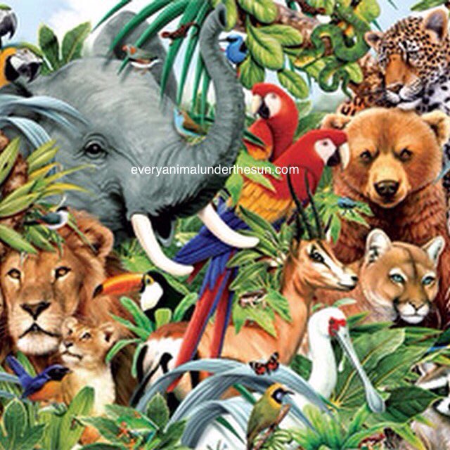 We are a new website pet and accessory classifieds free website is everyanimalunderthesun.com we are on Facebook