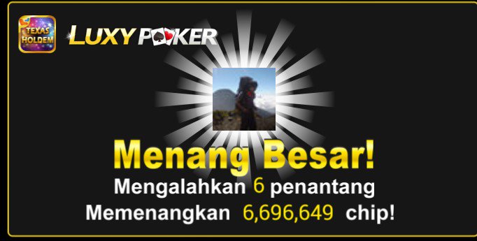 devid812's tweet image. 