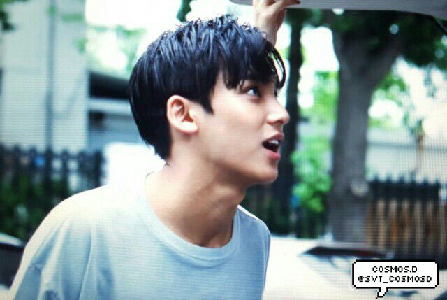 160722 뮤뱅출근 
넘 조아서 엄지손가락 떨려ㅠㅠㅠ
#세븐틴 #아주NICE #VERYNICE <a href="/pledis_17/">세븐틴(SEVENTEEN)</a>