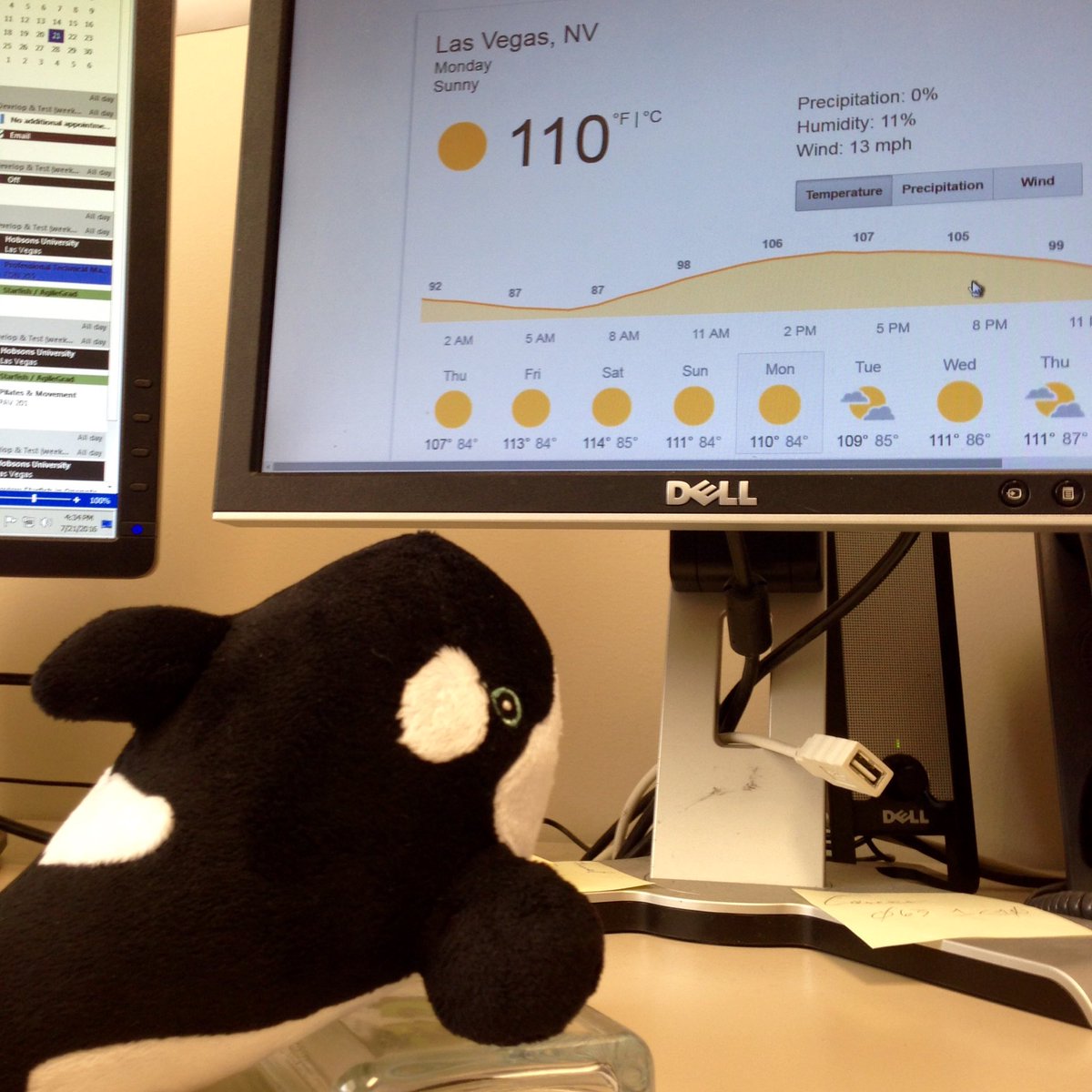 WhatcomDaveK's tweet photo. Ollie is really hoping for an orca-friendly pool policy at @MandalayBay for #HU2016. Gonna be HOT! 🔥🐳🔥 https://t.co/G36EGCbp1X