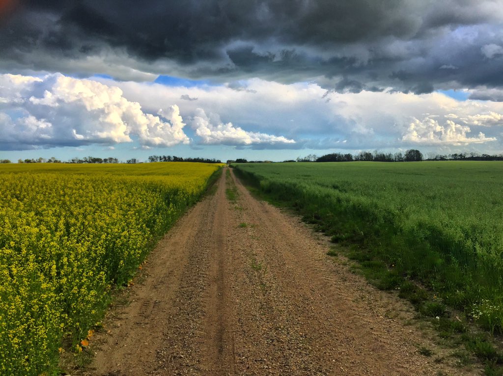 SeanSchofer's tweet photo. Here's how you know you chasing in #Saskatchewan. #prairietrails #skstorm https://t.co/XqbXylpS8O