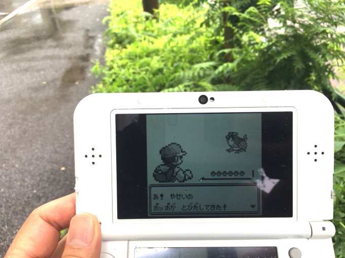 ありかちょポケモン図鑑さん の人気ツイート 1 Whotwi グラフィカルtwitter分析 ありかちょポケモン図鑑さん の人気ツイート 1 Whotwi グラフィカルtwitter分析