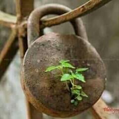 TweetyNms's tweet image. இரும்பில் 
இருக்கும் ஈரம் கூட சிலர் இதயங்களில்
 இருப்பதில்லை..😕