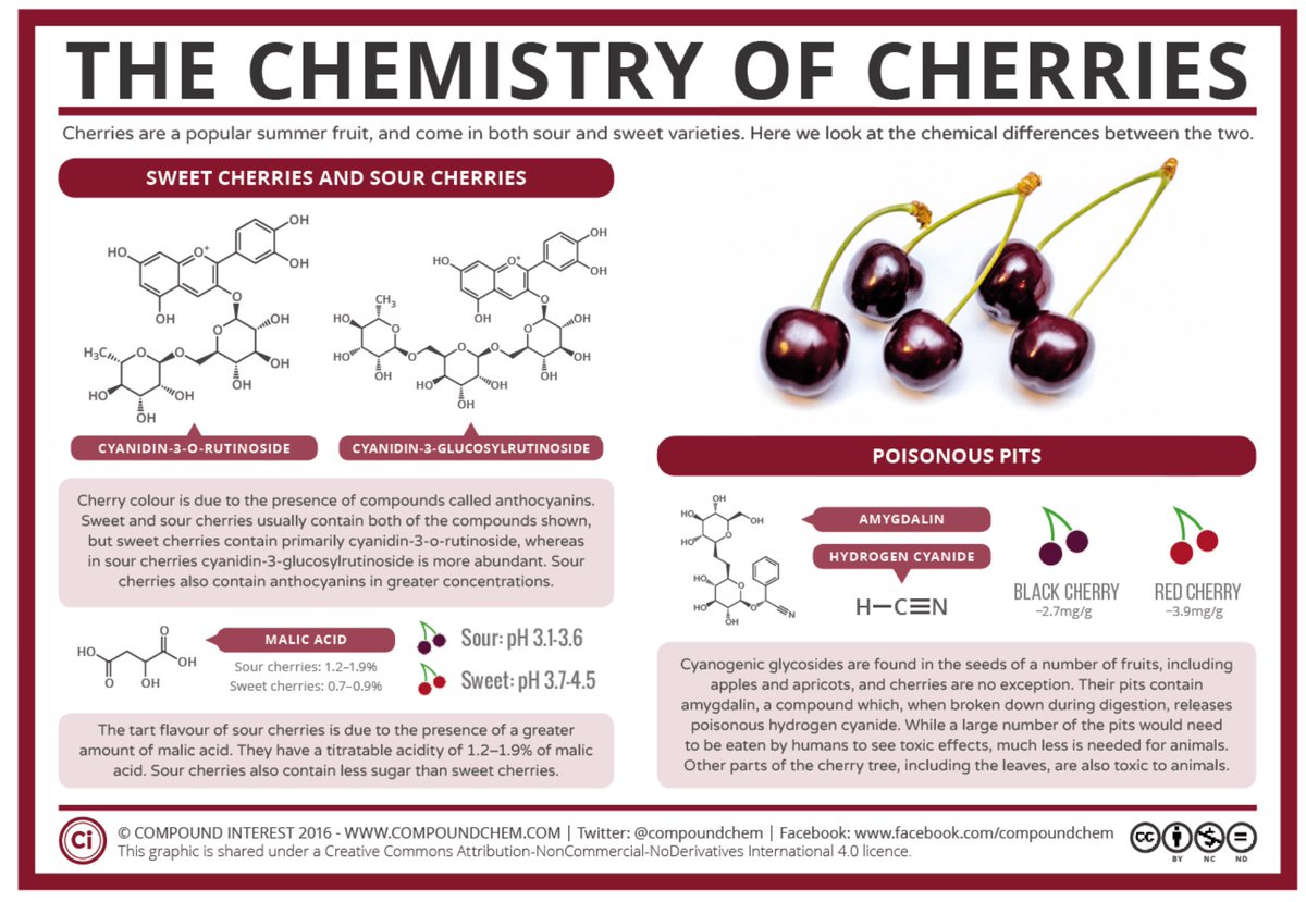 AminoAcrylate's tweet photo. 🍒Oh my gosh!! I love cherries🍒 😋The #Chemistry of #Cherries #MalicAcid #Anthocyanins #sweet
https://t.co/maPPjTcAnf https://t.co/LfsKwYZ8fL