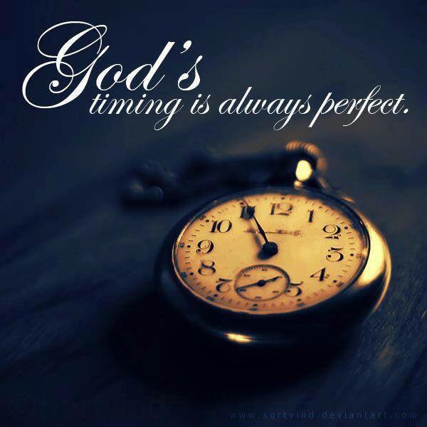 SoldierStronger's tweet photo. #JesusMyShield https://t.co/9RAjn7K0cR