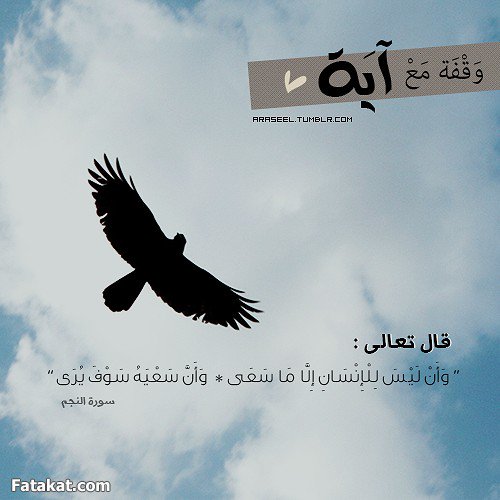 MyfAcademy's tweet photo. https://t.co/PlF7v1tjY9