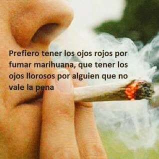 Sebastian Bj tweet media