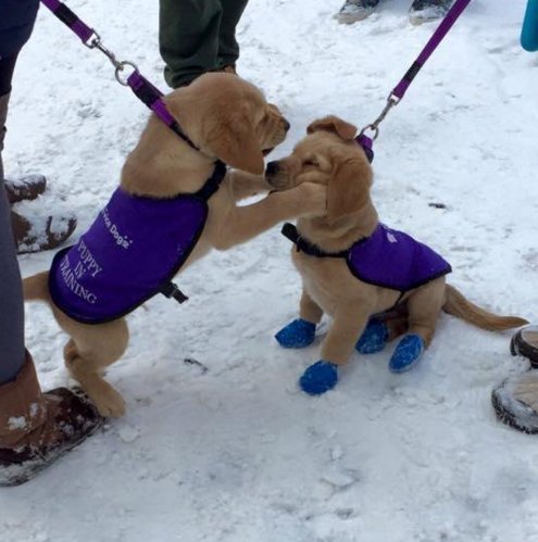 Clothescheapcom's tweet photo. When you see your #bestfriend after a long time https://t.co/ImYokf3Yr8