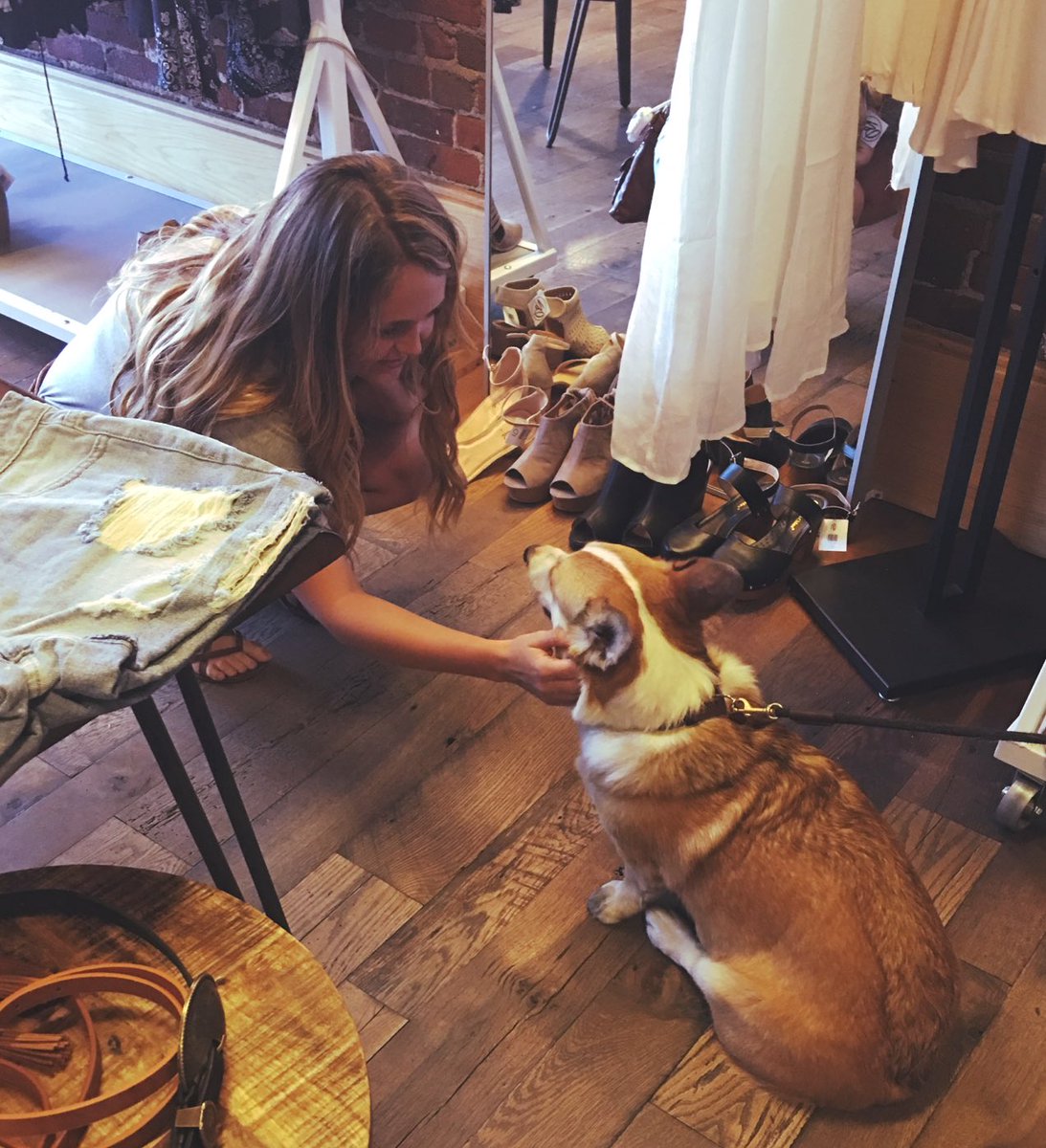reggs__'s tweet photo. Look who I came across today😍😭 #corgiobsession https://t.co/X3za7CXpEN