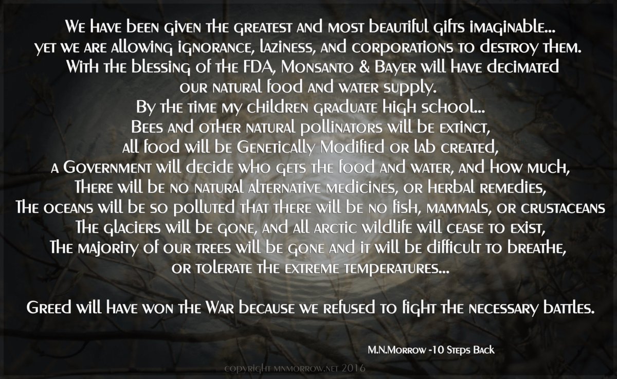 AuthorMNMorrow's tweet image. #10StepsBack #savethebees #saveEarth #rescueHumanity