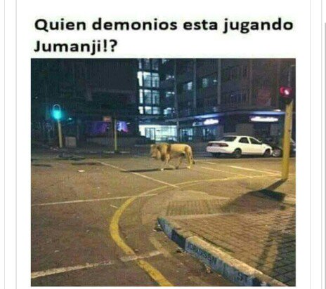 TiagoCastrillon's tweet photo. https://t.co/yU7QVDMjRM