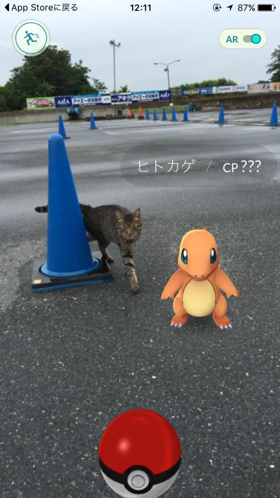 ヒトカゲをゲットしようとしたらｗまさかの新種ニャース登場に大困惑ｗｗｗ
