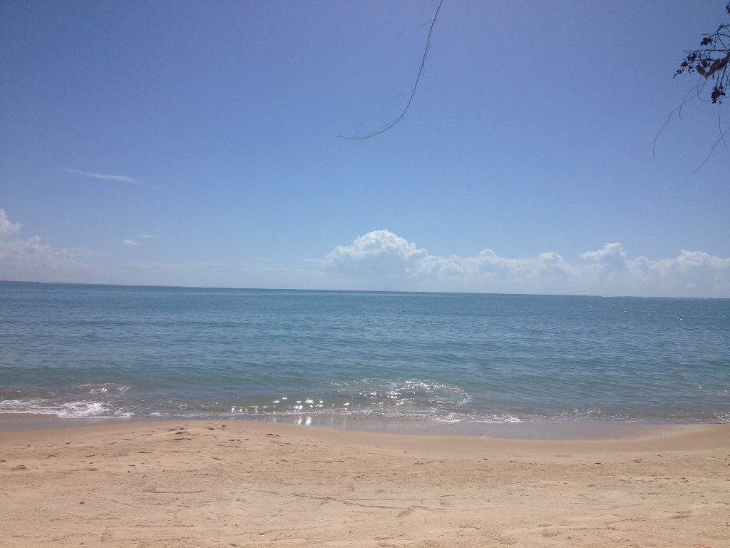Macedo7Michelly tweet picture