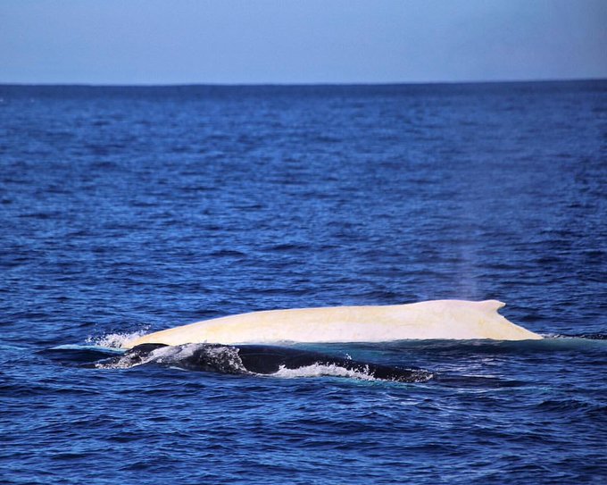 View image on Twitter