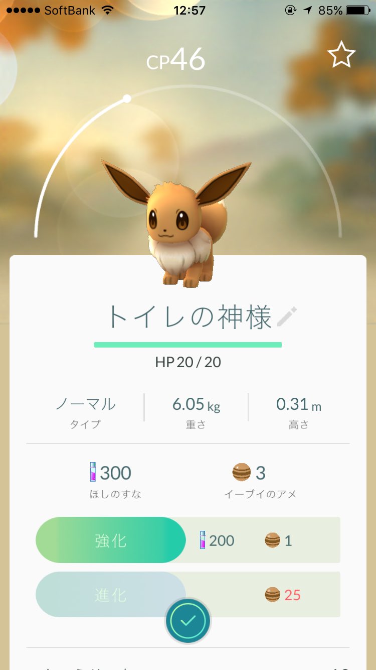 ポケモンgo 日本で開始も最初のニックネーム登録でつまづく人続発 全部却下されて消した エキサイトニュース