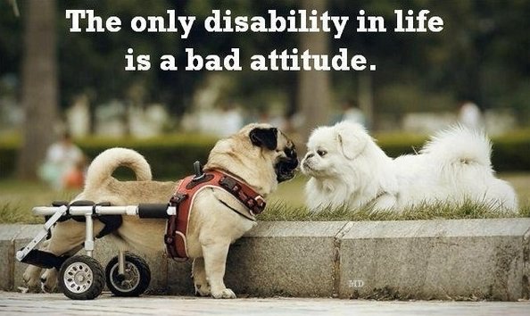 ProjectGenZ's tweet image. End the week with the right attitude #Daretodream2016