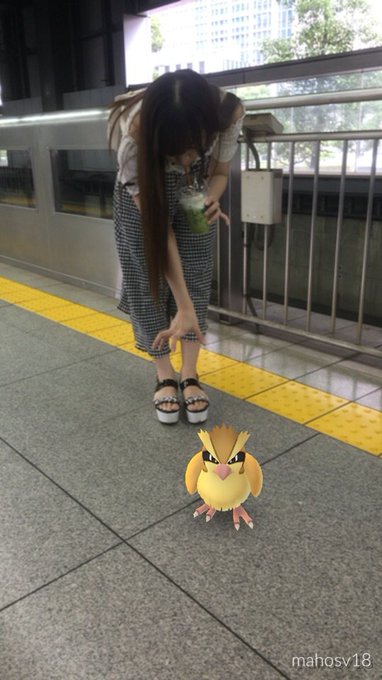 ユカフィンが素手でポッポ捕まえようとしてる！ #ポケモンGO https://t.co/ey7JqHdfOq